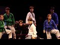 Kukkiwon taekwondo demonstration team