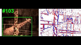 COESOT demo video