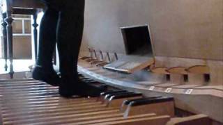 Livet vant, dets navn er Jesus.wmv