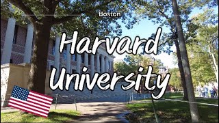 Walking through Harvard University 🏛️ | Full Campus Tour [4K]