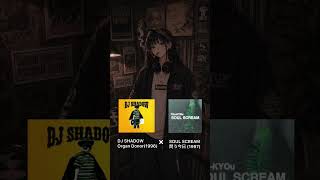 90's MIX  DJ SHADOW - Organ Donor × SOUL SCREAM - 問う今日 #hiphop #rap #dj #remix