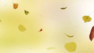 Falling Autumn Leaves Background Seamless Loop