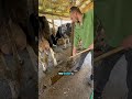 #shorts #shortvideo #reaction #viral #parati #novelshort