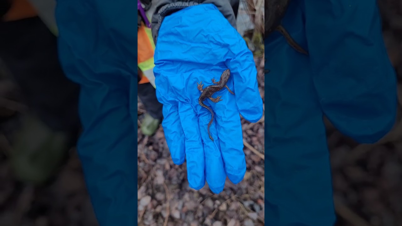 Come to work with me! Part 3 