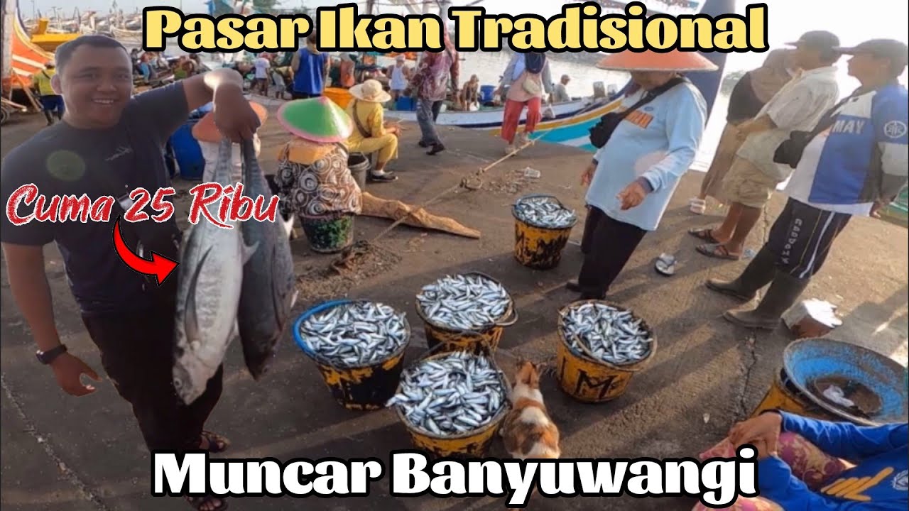 Mengunjungi Pasar ikan Terbesar di Indonesia, Inilah Pelabuhan Perikanan Muncar Banyuwangi