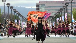 「よさこい集団 舞動パエリア」　ゑゑじゃないか祭り2011　海への道会場