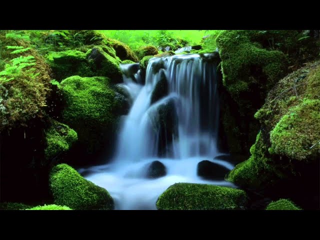 MOUNTAIN STREAM Nature Sounds (10 Hours) Relax, Meditate, Sleep