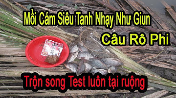 Mồi câu cá rô phi thiên nhiên mùa lạnh thay thế giun cực kì hiệu quả 100% lên cá
