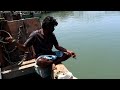 Rabbit Fish &amp; Udan Fish, Trevally fish, fishing in black water river