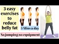 Burn belly fat exercises ll 3 easy exercises to lose belly fat