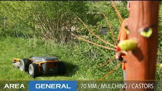 RAYMO CHALLENGE 7   RESIDENTIAL AREA MOWING