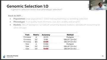 Genomic prediction in an autotetraploid and outcrossing crop: Lessons from blueberry