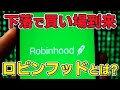 驚異の成長を見せるRobinhood。株価下落でチャンス到来か!? 分かりやすく解説