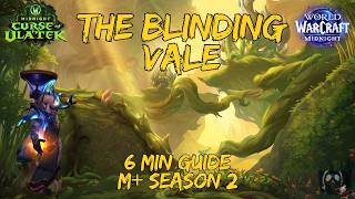 The Blinding Vale Mythic+ Guide in 6 Minutes | WoW Midnight Season 2