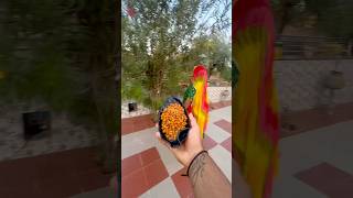 काले चने की टेस्टी सब्ज़ी 😍😋 #shorts #food #recipe #viral #cooking #ytshorts #foodie #viral
