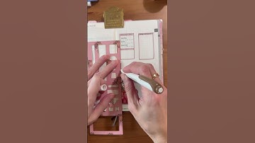 Hobonichi Weeks PWM #pwm #planwithme #hobonichi #hobonichiweeks #hobonichiplanner #stickers #asmr