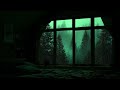 Rainy Night in the Forest | Thunderstorm Sounds from a Dark Bedroom Window