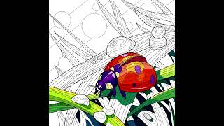 Zen Color The Ladybug Took A Smal Sip From The Water Droplet. So Refreshing. screenshot 5