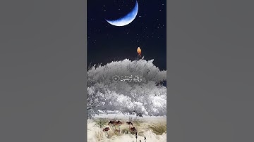 #قران_كريم #المصحف #صلوا_على_النبي #راحة_نفسية #تلاوة_خاشعة #حالات_واتس #ذكر_الله #راحة_القلوب