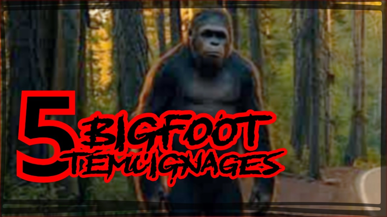 5 Témoignages Incroyables Mais Réels de Sasquatch en Ontario! (Avec