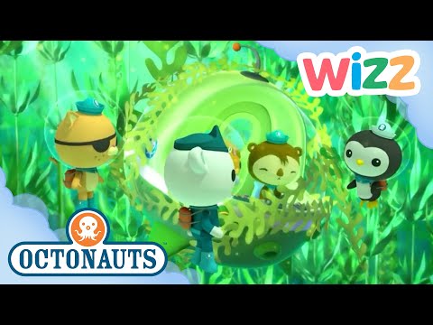 @Octonauts - The Great Kelp Forest Rescue | Full Episode | Cartoons for Kids | @Wizz
