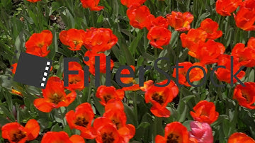 Slow motion top view of red tulips field