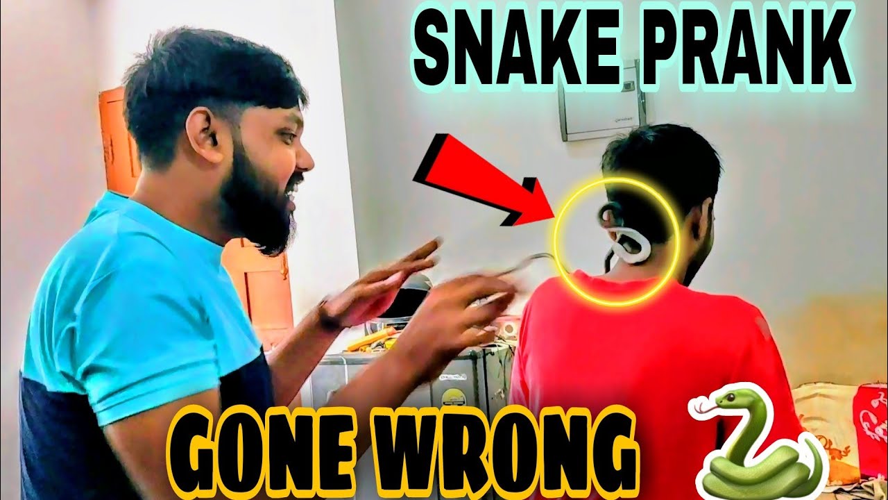 Fake snake prank 😂 snake prank fake snake prank on family
