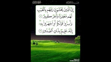 بلغوا عني ولو آية ﷺ..القارئ د.بريك سعد بريك