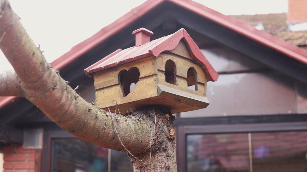 Izdelava ptičje hišice - YouTube