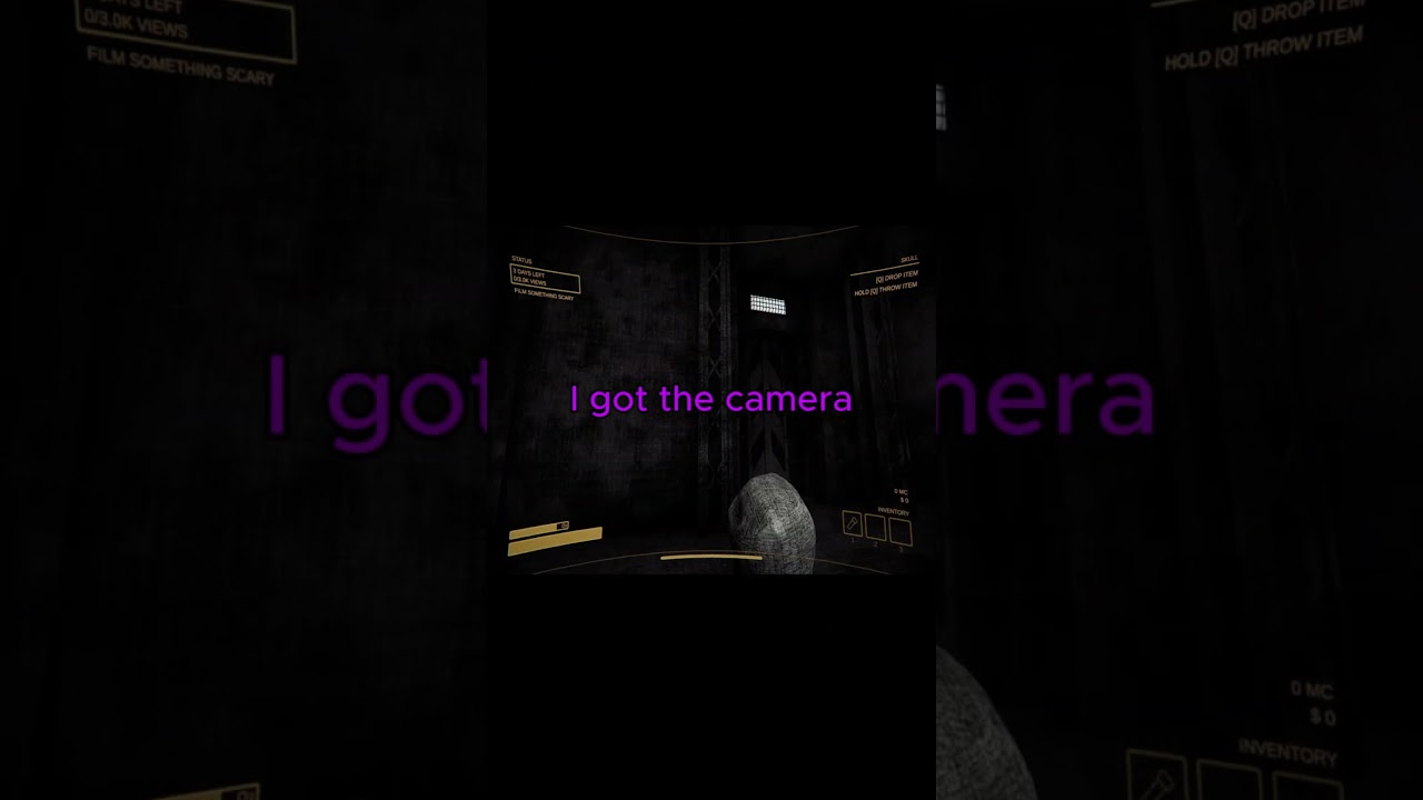 "Is That Franklin The Turtle?!"