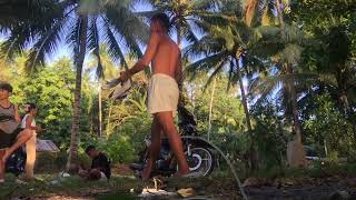 IMG 0355
