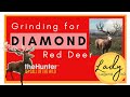 Grinding for Diamond Red Deer. Hunter: Call of the Wild.