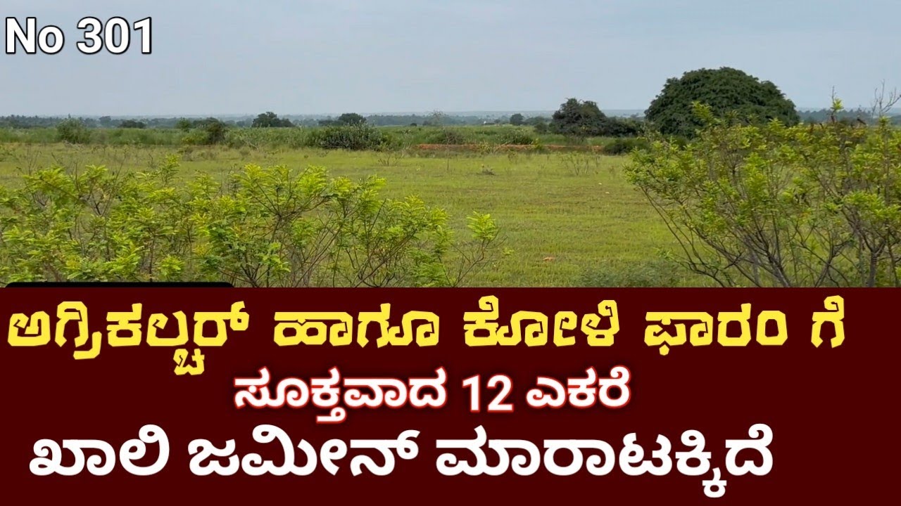 ಫಲವತ್ತಾದ ಅಗ್ರಿಕಲ್ಟರ್ ಲ್ಯಾಂಡ್ ಮಾರಾಟಕ್ಕಿದೆ |Near Parashurampura, Chitradurga