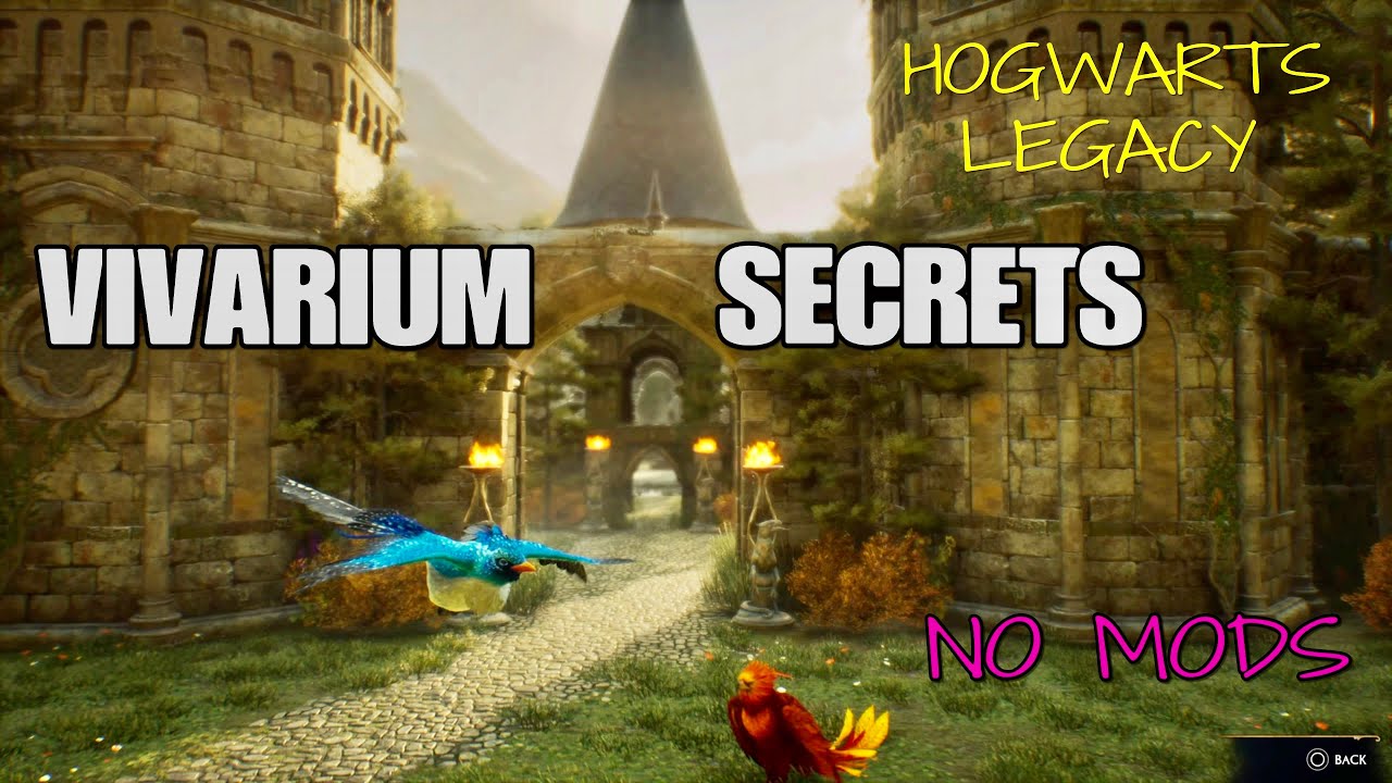 Vivarium SECRETS Complete vivarium customisation Hogwarts Legacy