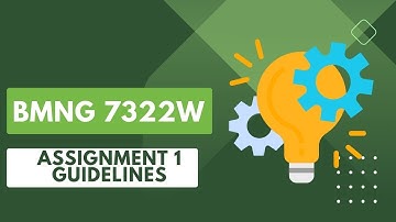 BMNG 7322w - Assignment guideline 1
