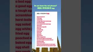 美国小学英语单词 egg ：Do you know these ‘egg’ phrases highlighted in red?