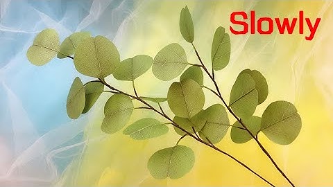ABC TV | How To Make Silver Dollar Eucalyptus From Paper #1 (Slowly) - Craft Tutorial