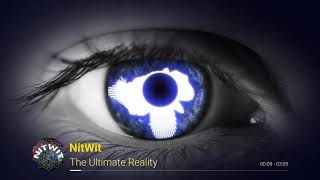 Nitwit - The Ultimate Reality