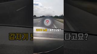 노래하는 도로를 아시나요?