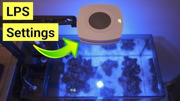 AI Prime 16 HD Settings (For Success With LPS & Soft Corals)