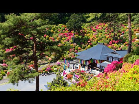 青梅 市 つつじ や 閉店 理由