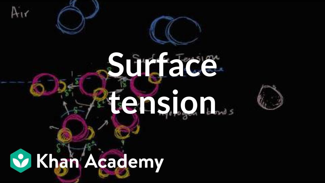 Surface tension | States of matter and intermolecular forces | Chemistry | Khan Academy