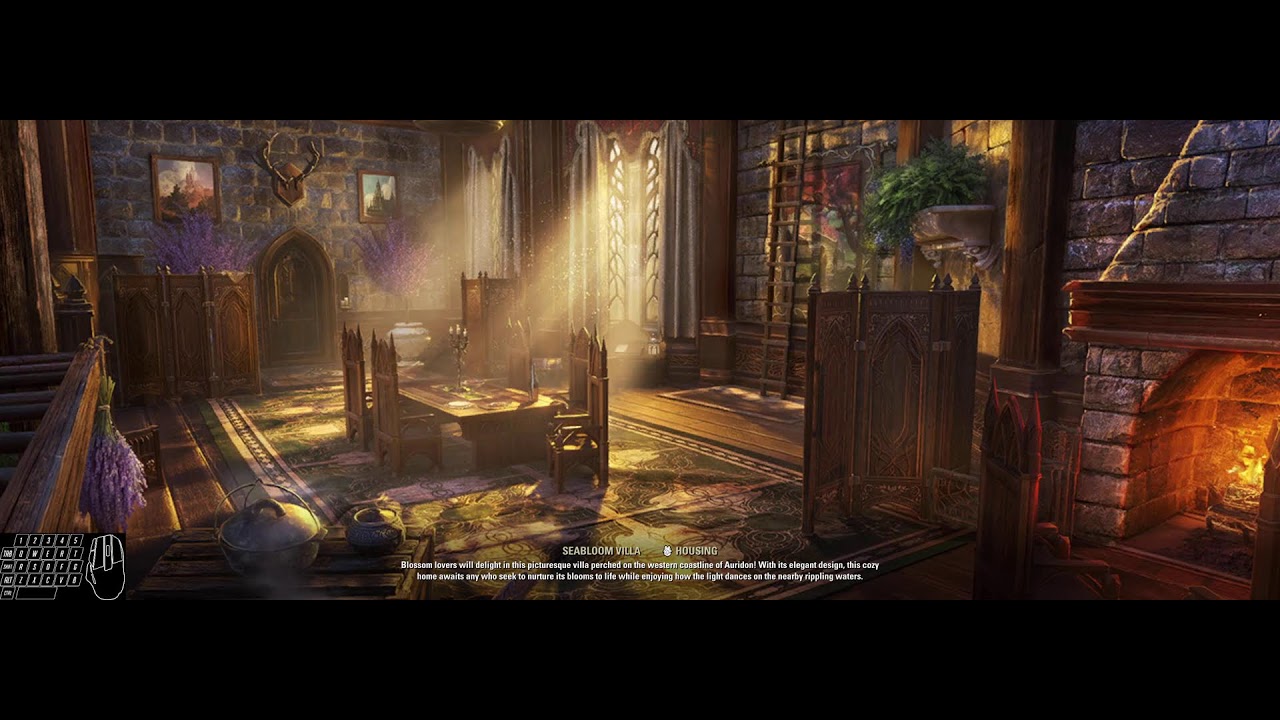 Ossein Cage -- washed fill