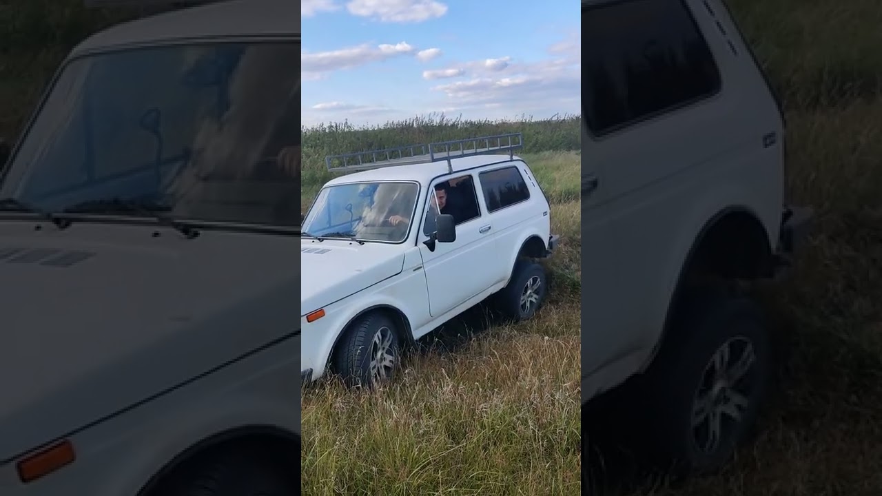Нива едет только на блокировке причина