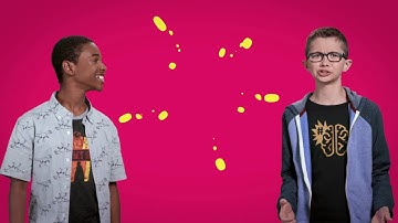 Discovery #MINDBLOWN Blast: Brains