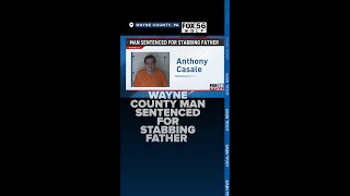 Wayne County man sentenced for stabbing father
