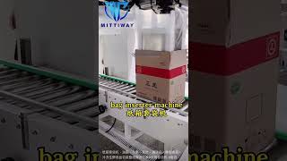 Automatic Big PE Bags Bagging Machine on Carton Box  #baggingmachine  #packingsystem