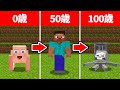 100歳になったら死ぬマインクラフト【マイクラ】