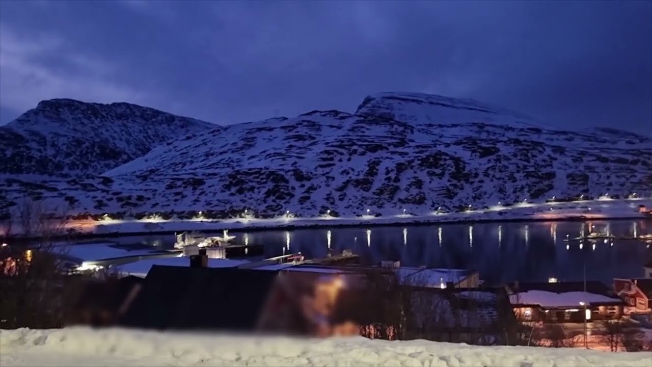 Кот Флоки. Прогулка возле фьордов Баренцева моря. Полярные ночи.