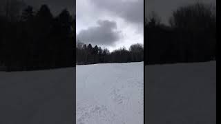 IMG 4141